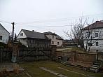 Třibřichy